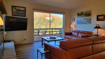 Een smart-tv, een open haard, een tafeltennistafel en boeken