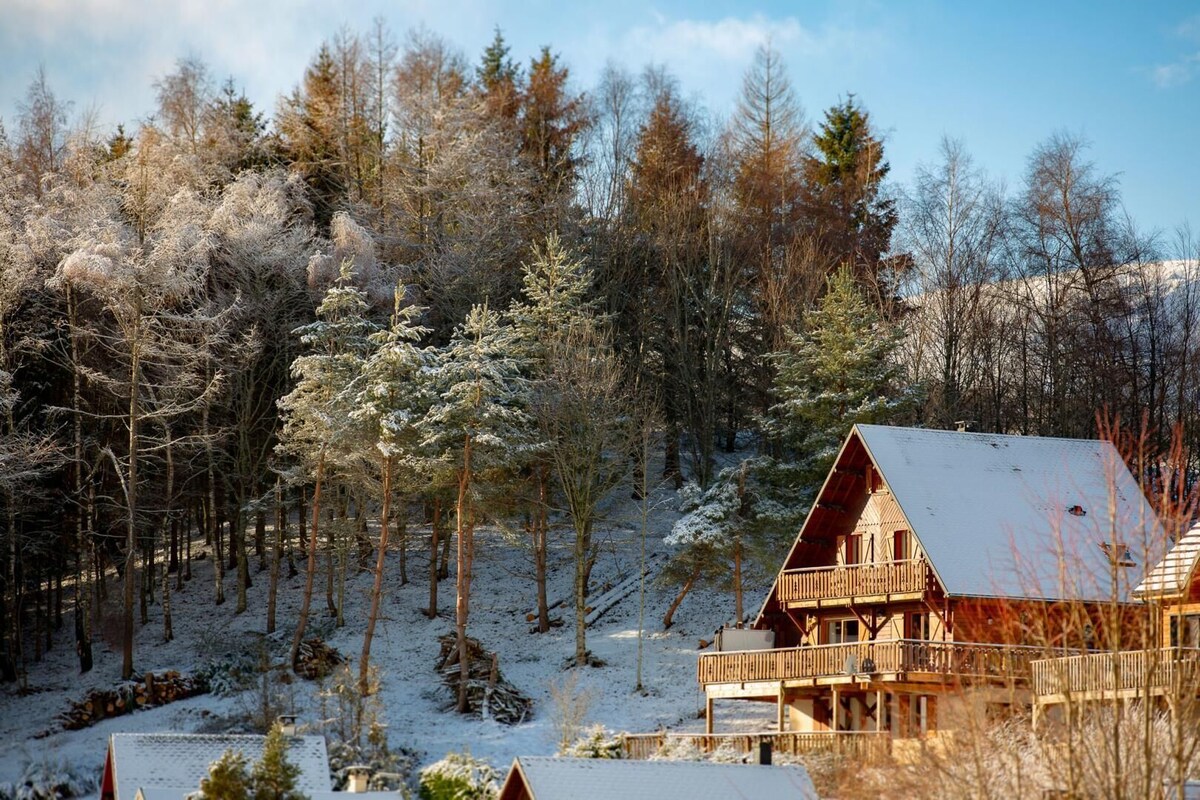 Imagen de perfil del propietario o de la propietaria