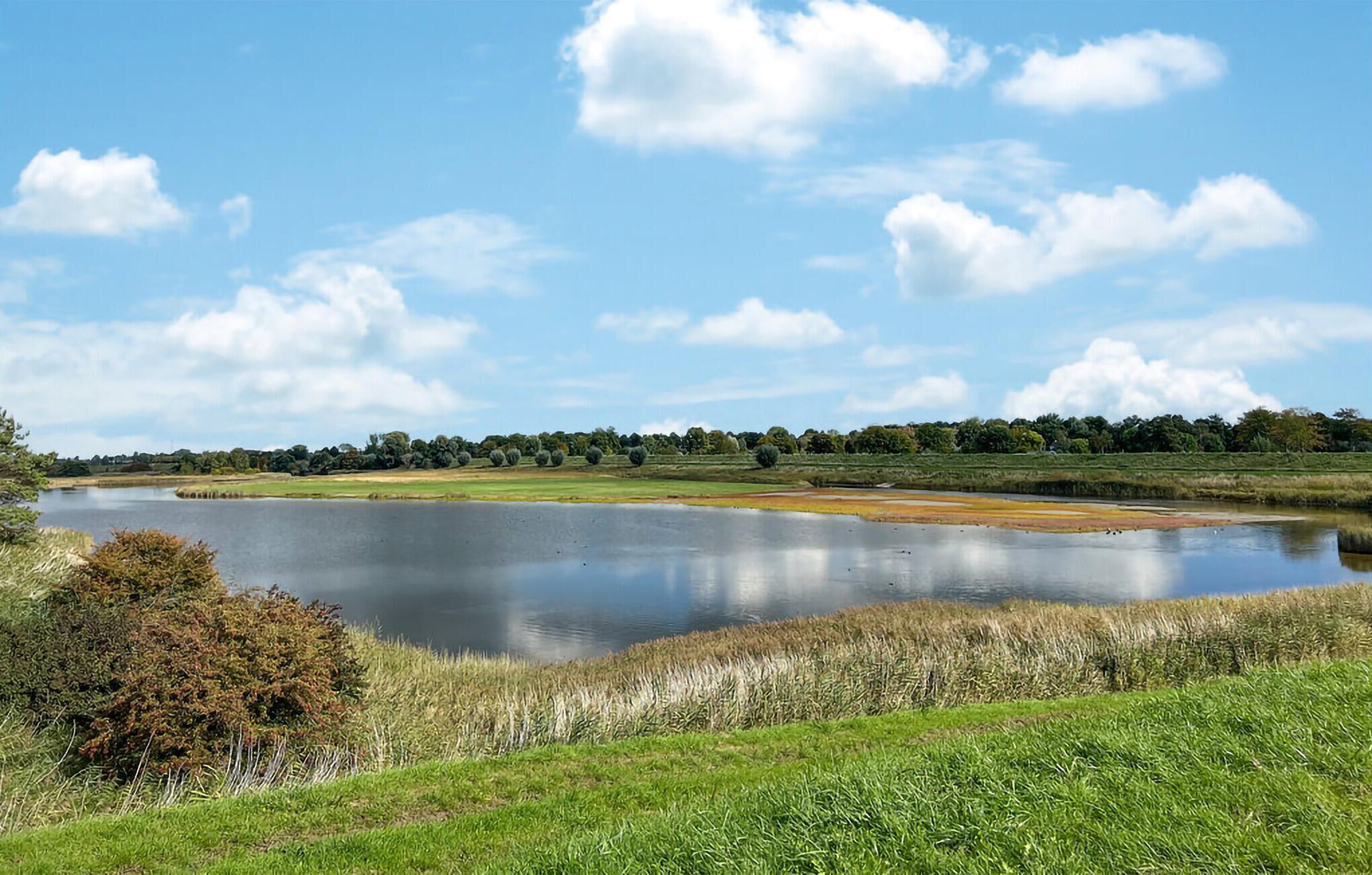Een vredig landschap met een groot waterlichaam, grasvelden en een rij bomen in de verte.