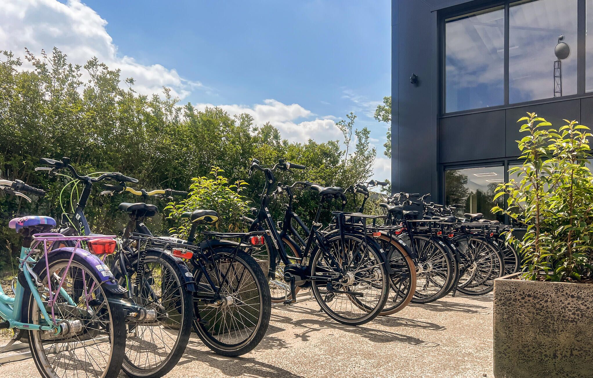 A row of bicycles parked outside a building with a modern design, surrounded by greenery.