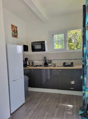 A compact kitchen with a white refrigerator, a microwave, a sink, and a window with a view of greenery.