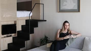 Standard-ullakkohuoneisto | 1 makuuhuone, tallelokero huoneessa