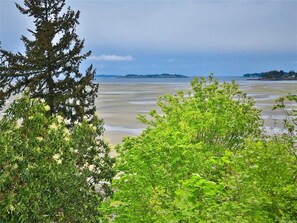 Nära stranden och strandhanddukar
