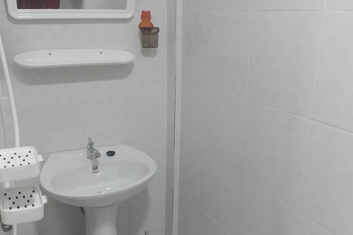 Basic Apartment | Bathroom | Shower, rainfall showerhead, towels