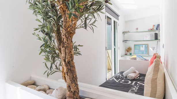 Quarto moderno com cama, mesa de cabeceira pequena, prateleira com livros, planta em vaso e janela.