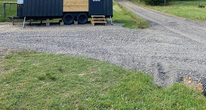 The Arkansas Tiny House