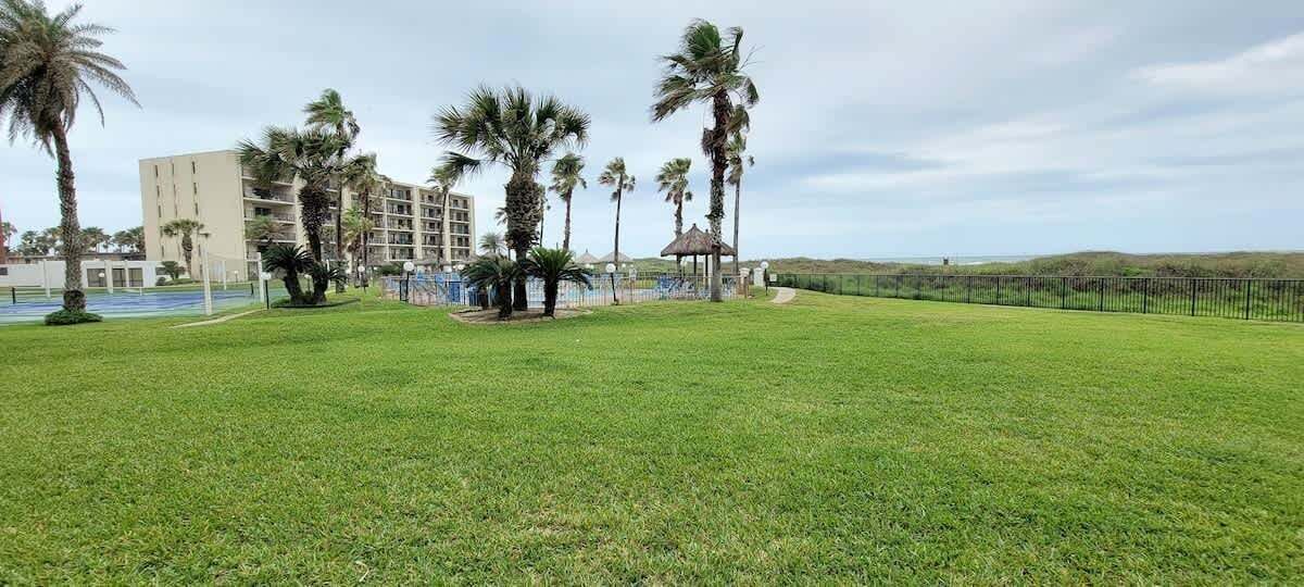 A grassy area with palm trees and a building in the background.