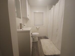 Hair dryer, towels, soap, shampoo