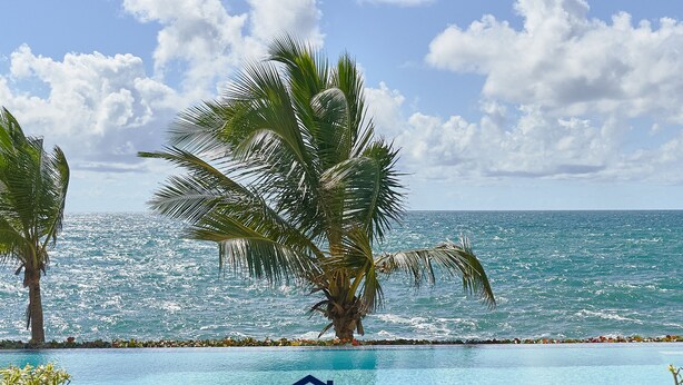 Een zwembad met uitzicht op de oceaan, palmbomen en een heldere lucht.