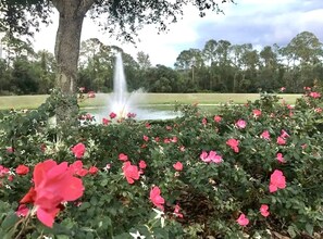 Property grounds - Magical Getaway (Kissimmee)