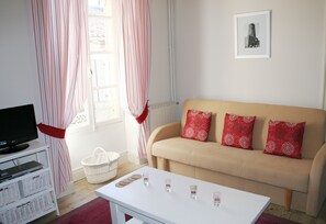 Télévision, lecteur de DVD, livres