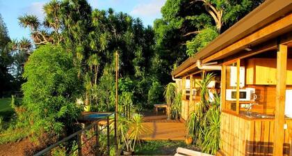 Bungalow Aito with Panoramic Ocean View - Bounty Lodge Tahiti