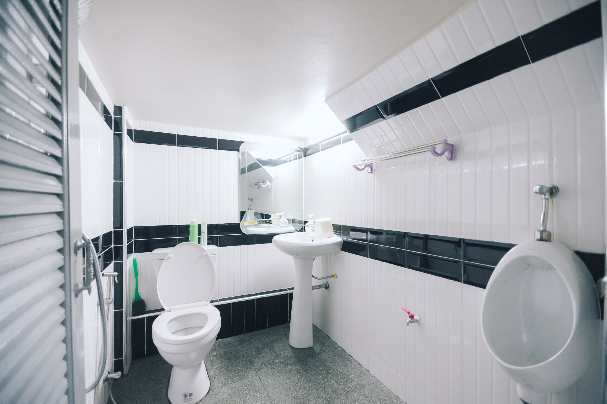 Hårtork, handdukar, tvål och schampo