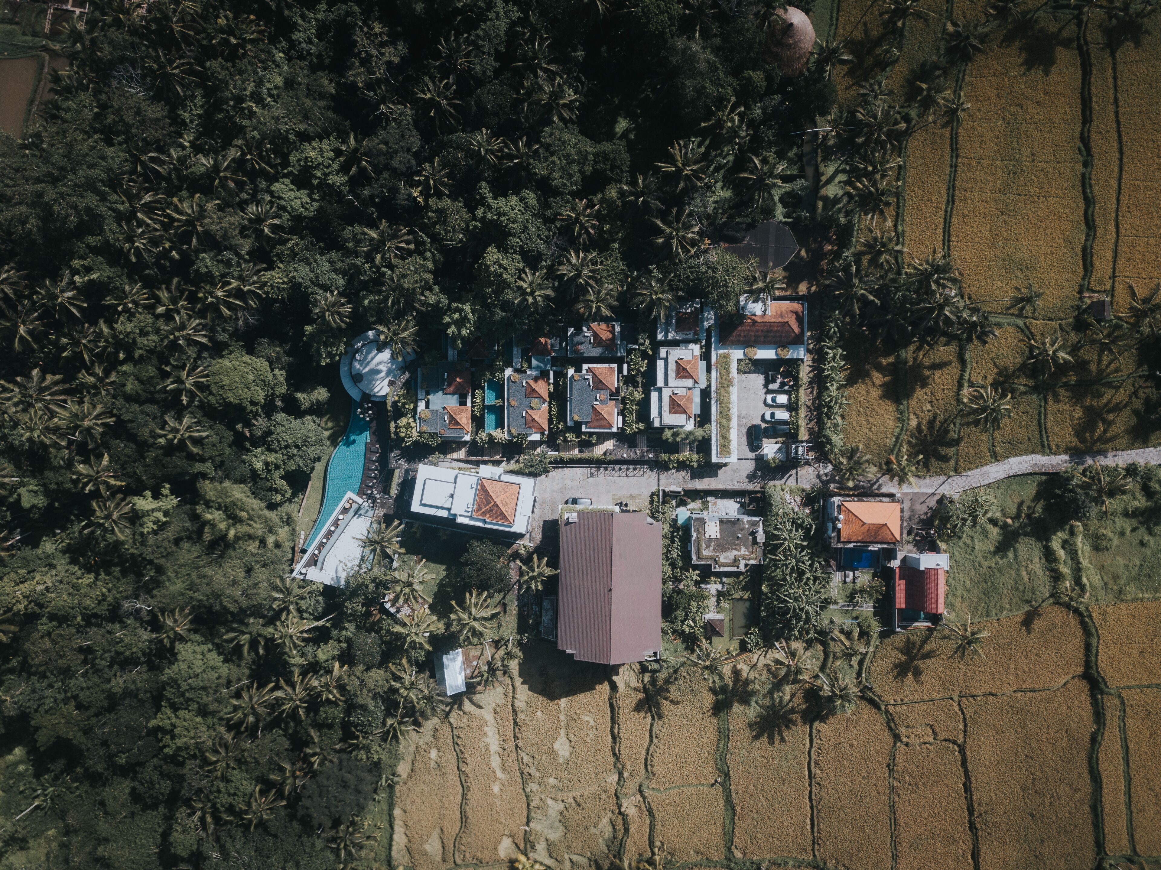 Photo - The Ning Resort Ubud