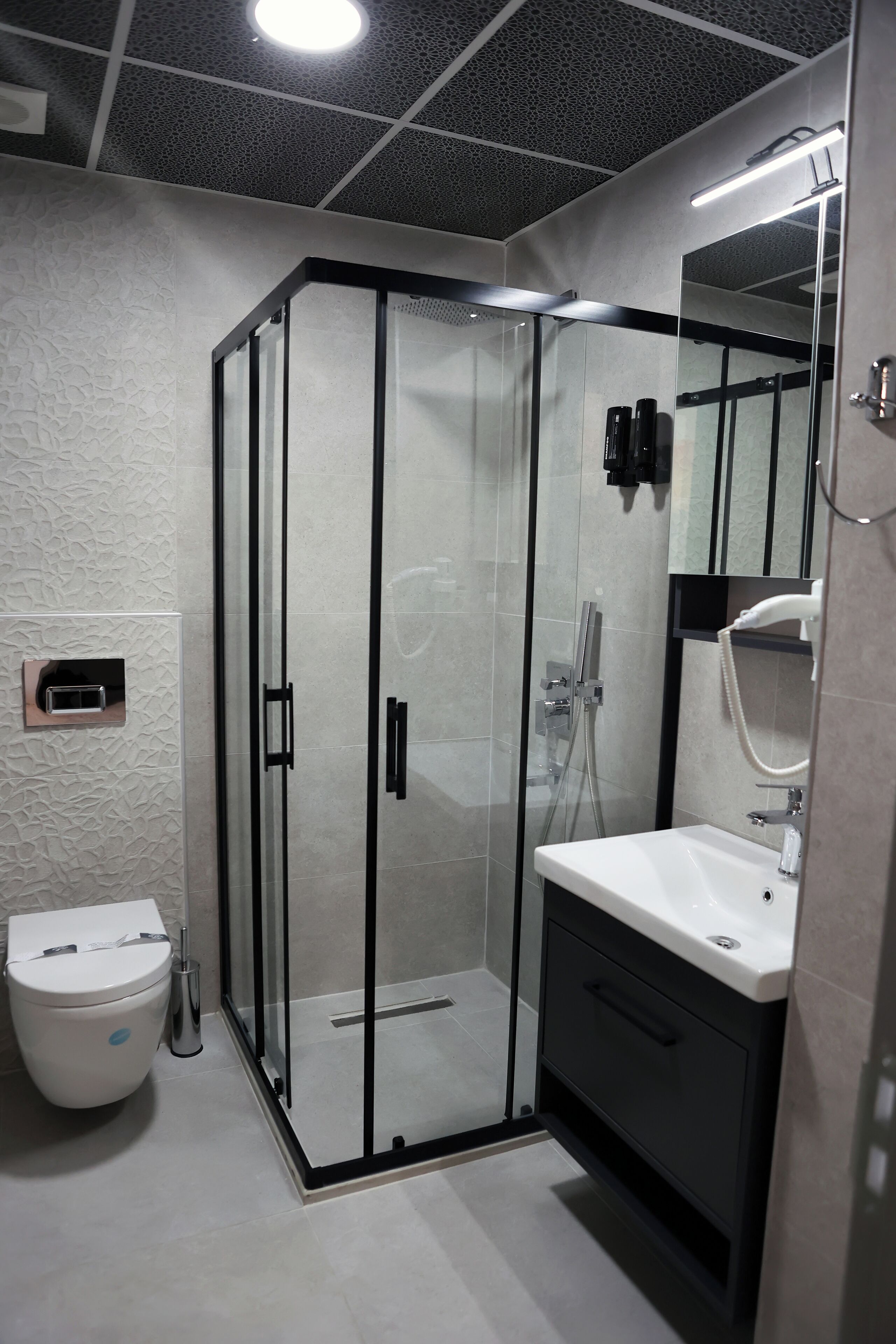 A modern bathroom with a glass-enclosed shower, a white sink, and a toilet.