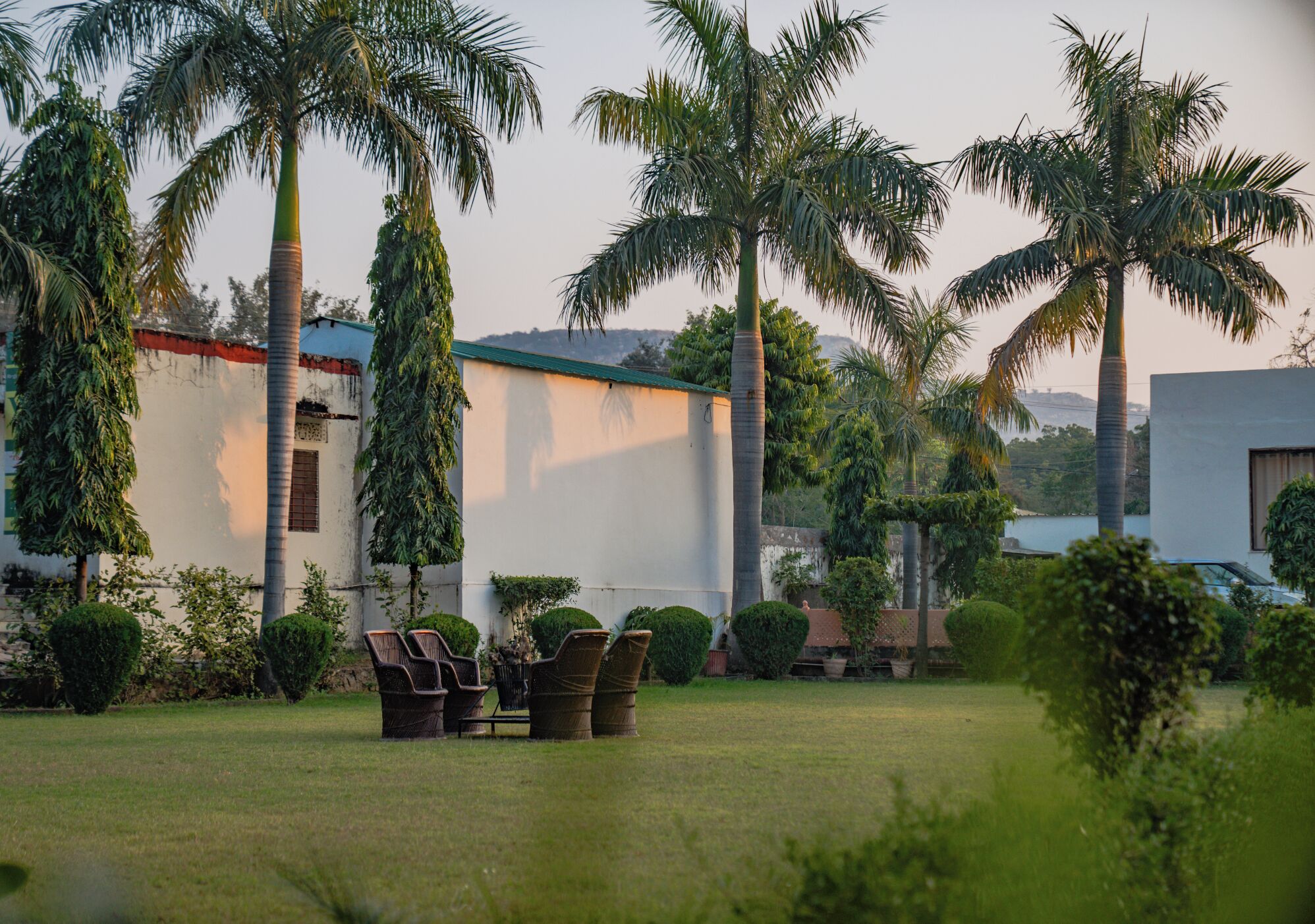 A well-maintained outdoor area with palm trees, a white building, and a seating area with chairs and planters.