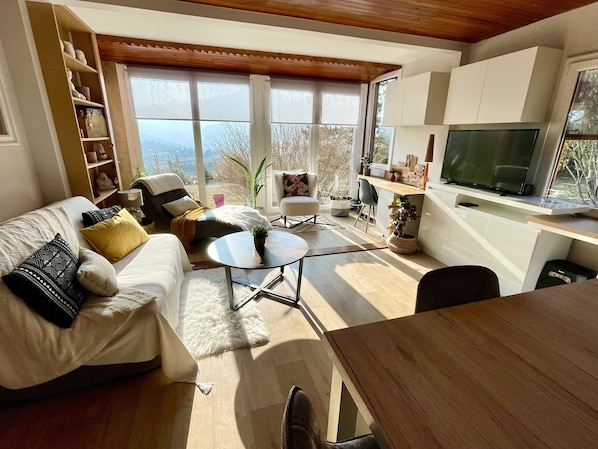 TV, books, stereo
