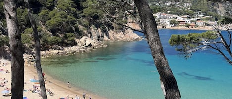 Spiaggia