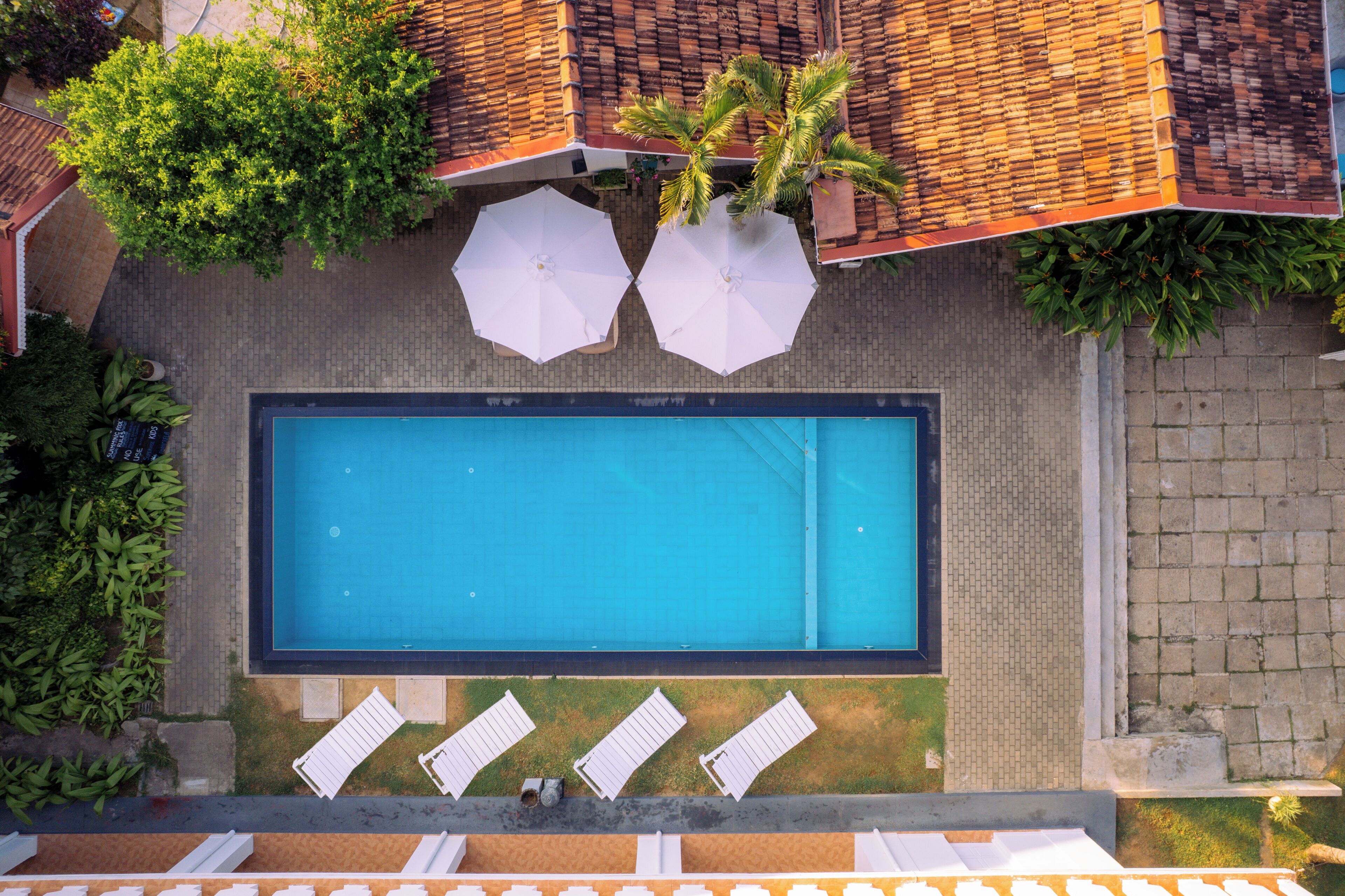 Outdoor pool, open 7:00 AM to 8:00 PM, sun loungers