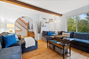 Smart TV, fireplace, video games, books