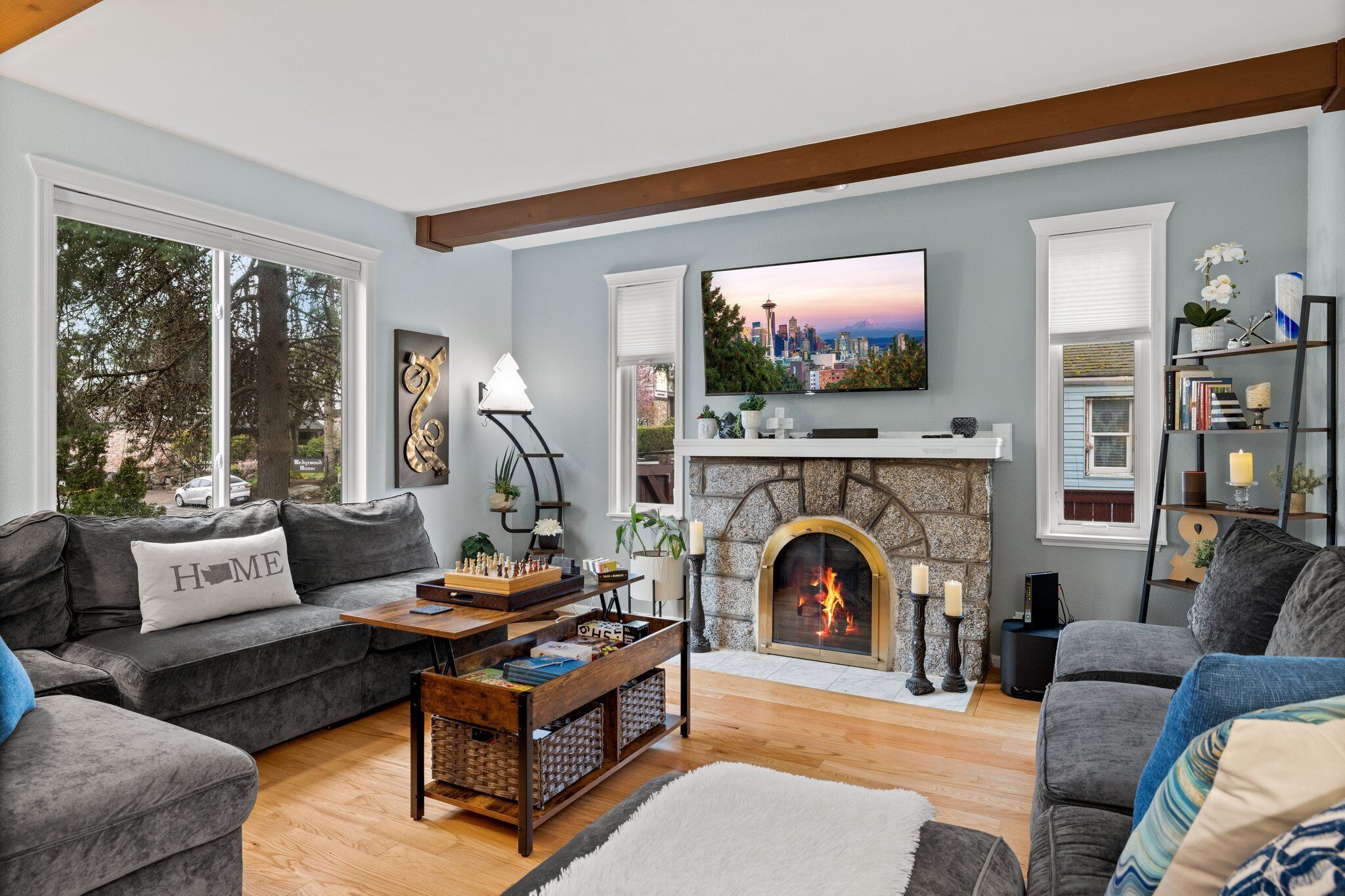 Smart TV, fireplace, video games, books