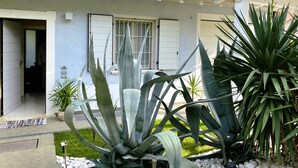 Un bâtiment moderne doté d’un patio couvert agrémenté de grands plants d’agave et d’un petit jardin avec des rochers et un sentier.