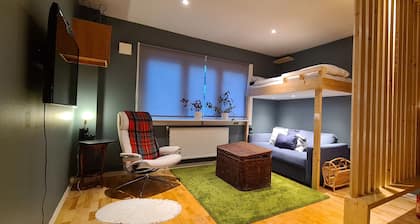 Apartment in oslo