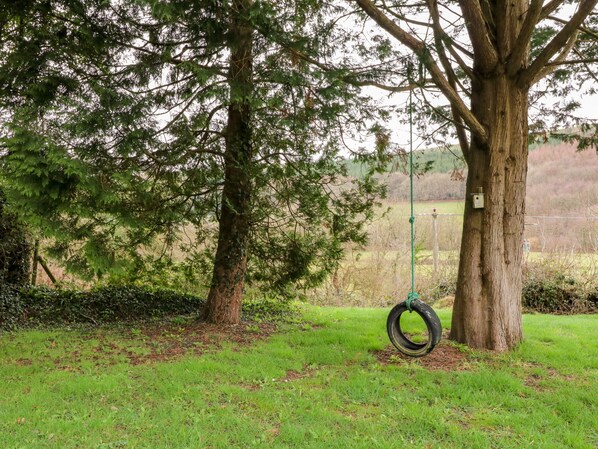 A grassy area with two trees and a tire swing hanging from one of the trees.
