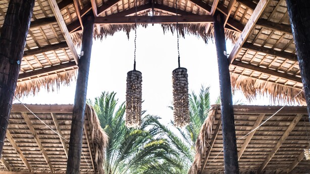 A covered outdoor area with a wooden ceiling, palm trees, and a pool in the background.