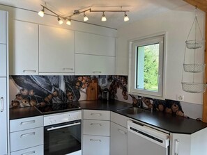 Fridge, microwave, stovetop, dishwasher