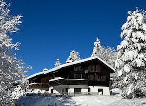 Exterior - Mountain holiday flat in Chalet Zirbeli (Sörenberg)
