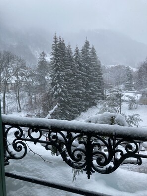 Property grounds - Appartement Dartiste Avec Sauna (Mont-Dore)