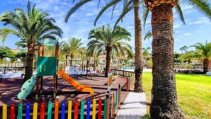 A playground with a slide and climbing structures, surrounded by palm trees and a fenced area. - Excellent bungalow in Maspalomas (Maspalomas)