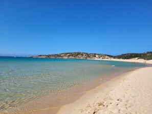 Beach nearby, sun loungers
