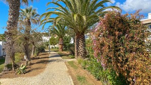 A paved pathway lined with palm trees and flowering shrubs, leading towards a building with a white facade.
