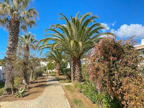 Stroll along the cobblestone path lined with lush palm trees and hedges to a serene residential building.