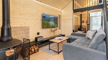 Smart TV, fireplace, books, music library