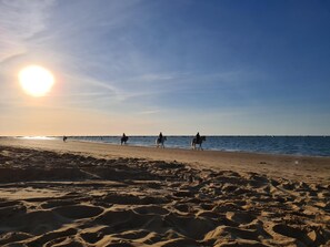 Playa en los alrededores 