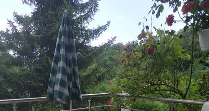 Chalet "Diff "150m from the lake, private garden and Wi-Fi