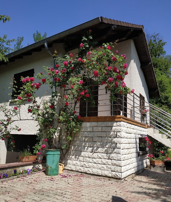 A house with a stone facade, a wooden balcony, and a rose bush climbing the wall.