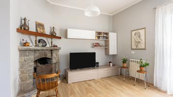 TV, fireplace, ping pong