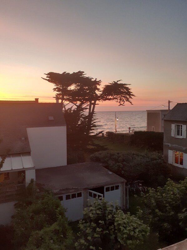 A residential area with houses, a tree, and a view of the sea during sunset.