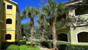 Una calle residencial con casas amarillas y beige, palmeras y jardines bien cuidados.