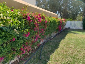 Property grounds - Green villa 3 minutes to the beach on foot (Korba)