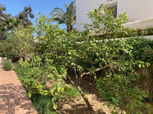 Green villa 3 minutes to the beach on foot