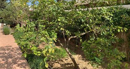 Green villa 3 minutes to the beach on foot