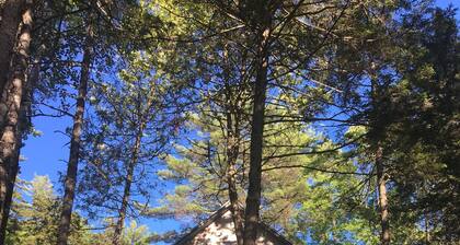 Charming waterfront cottage on Schoodic lake.