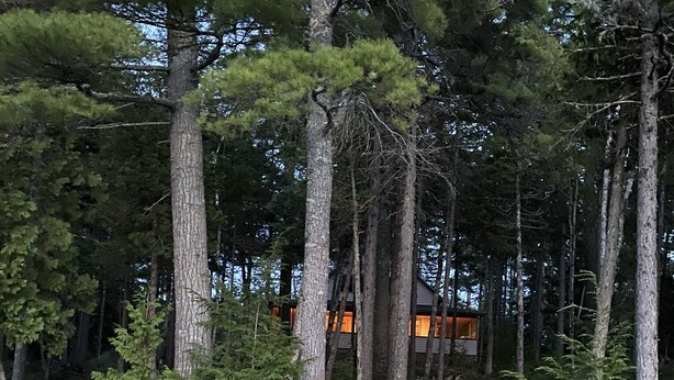 Eine hölzerne Anlegestelle führt in einen bewaldeten Bereich, im Hintergrund ist ein Haus zu sehen.