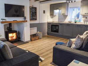 Fernseher, Kamin