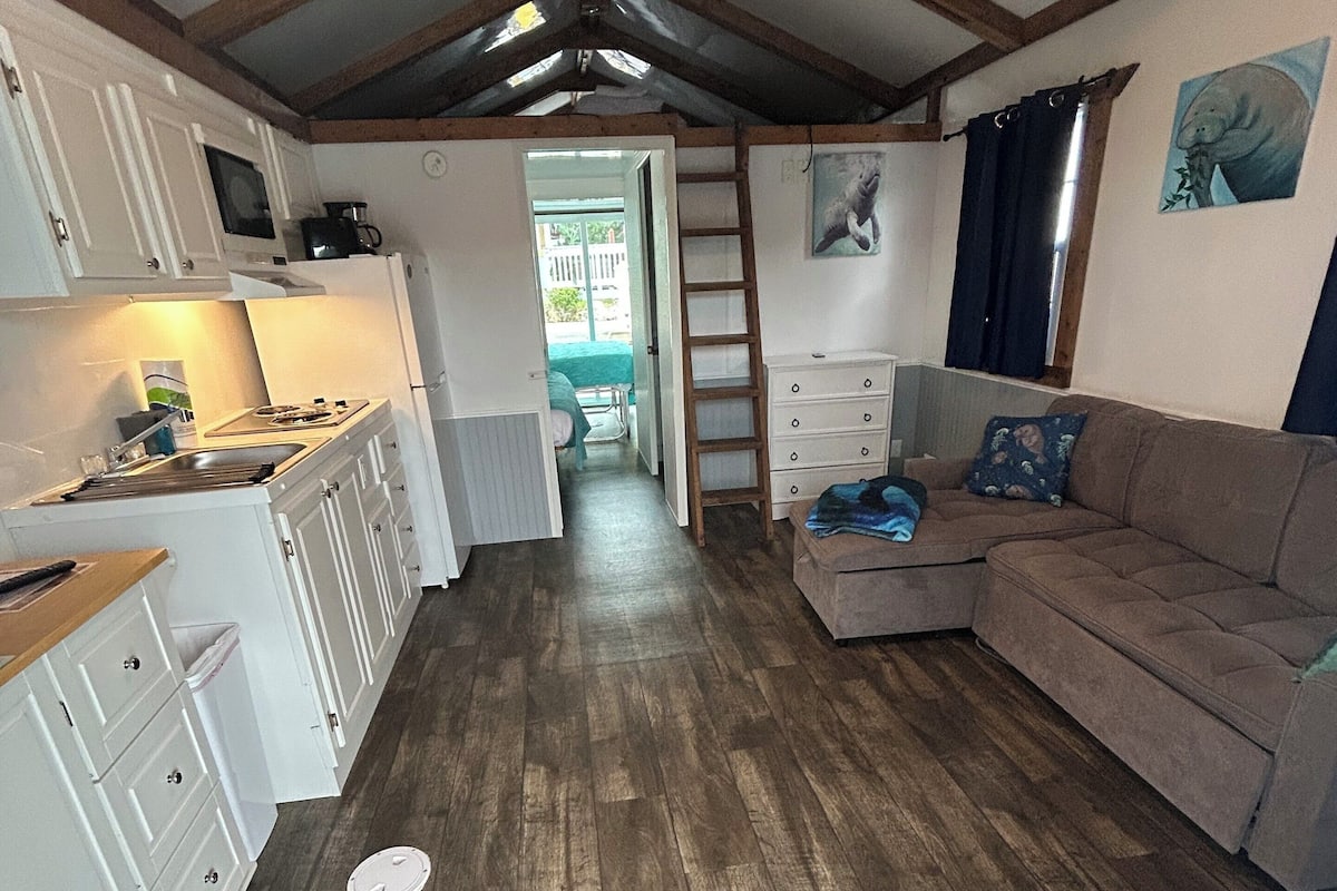 A compact living space with a kitchen, a sofa, and a ladder leading to a loft area.